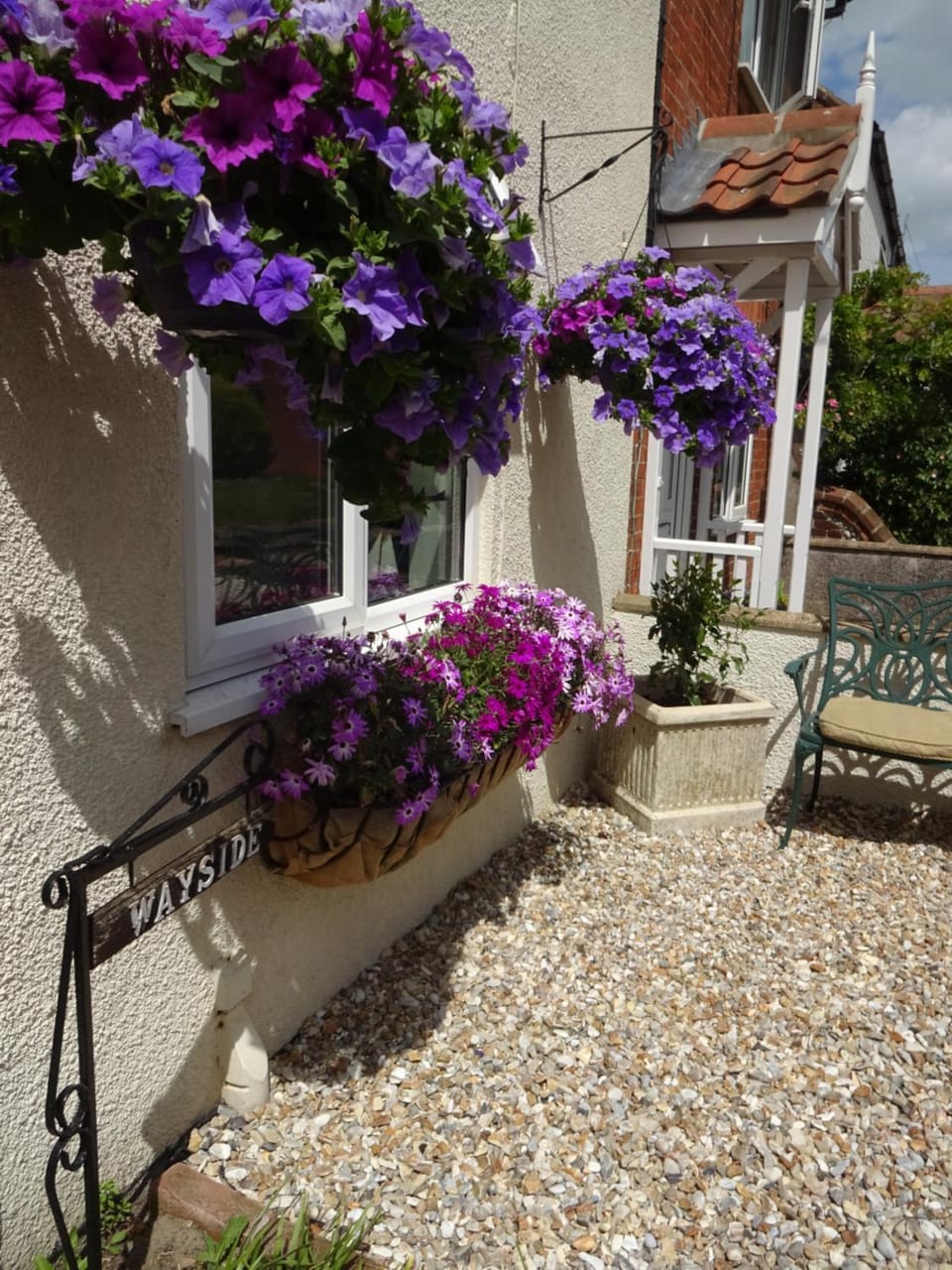 Garden view