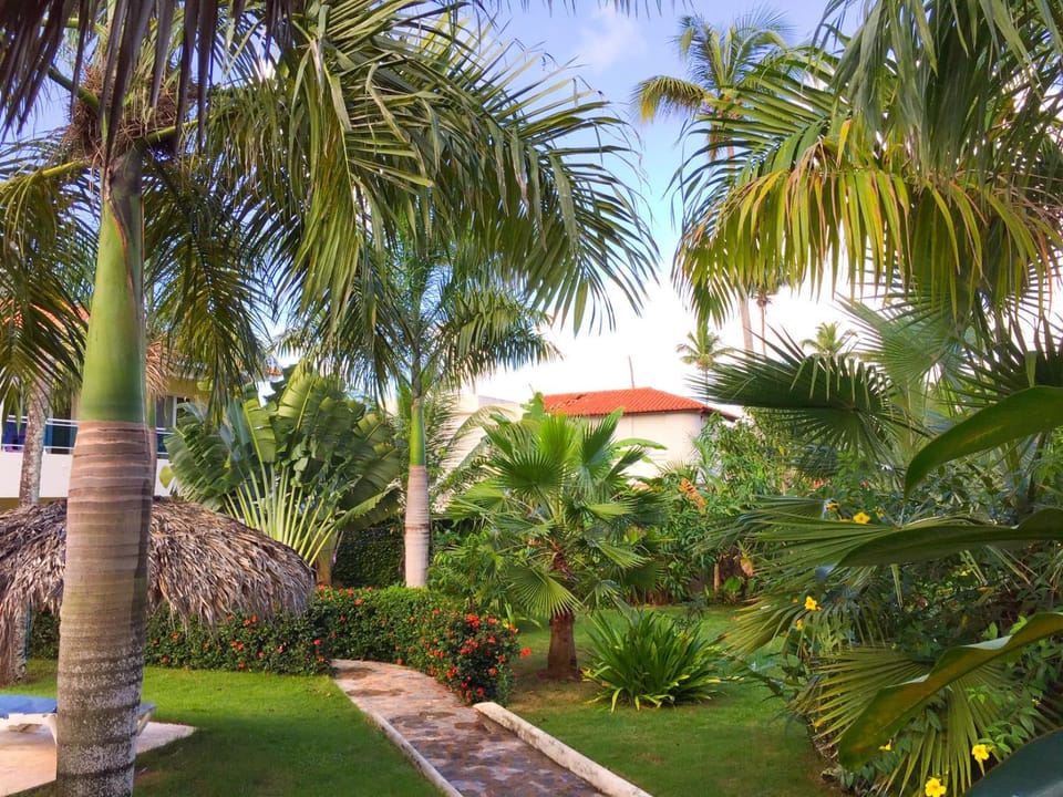 Las Galeras Hotel Hotel in Las Galeras