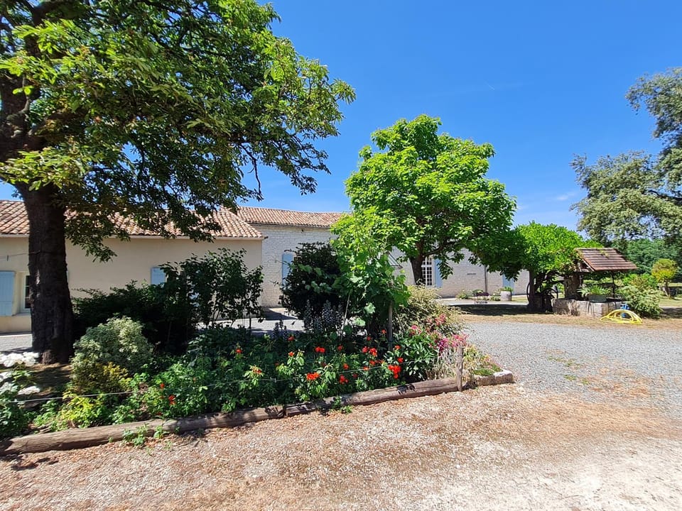 Property building, Garden view