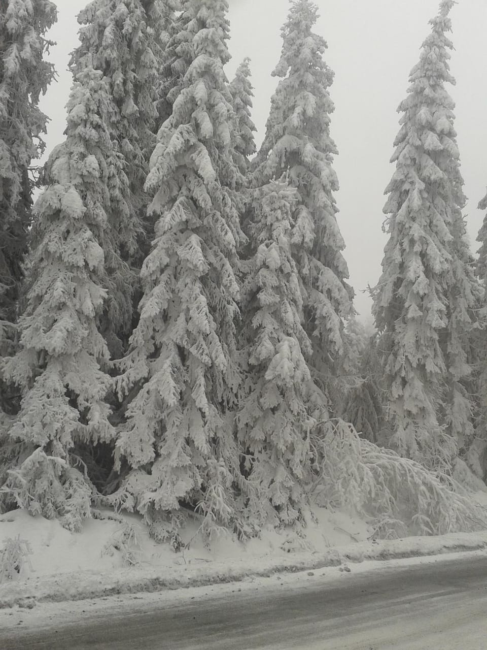 Day, Natural landscape, Winter