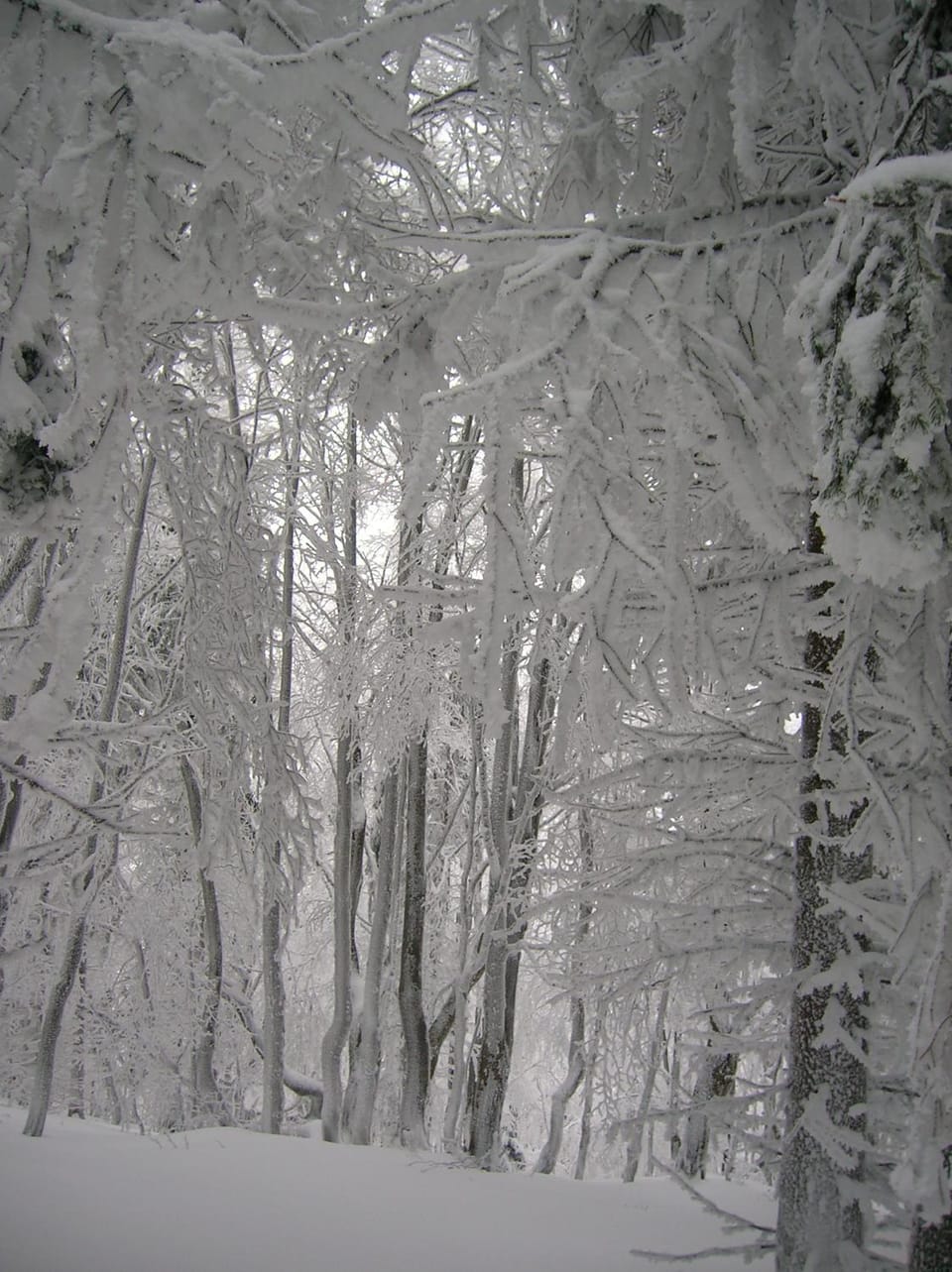 Natural landscape, Winter