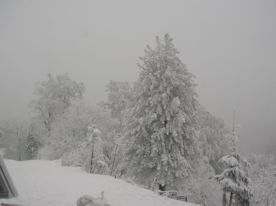 Natural landscape, Winter
