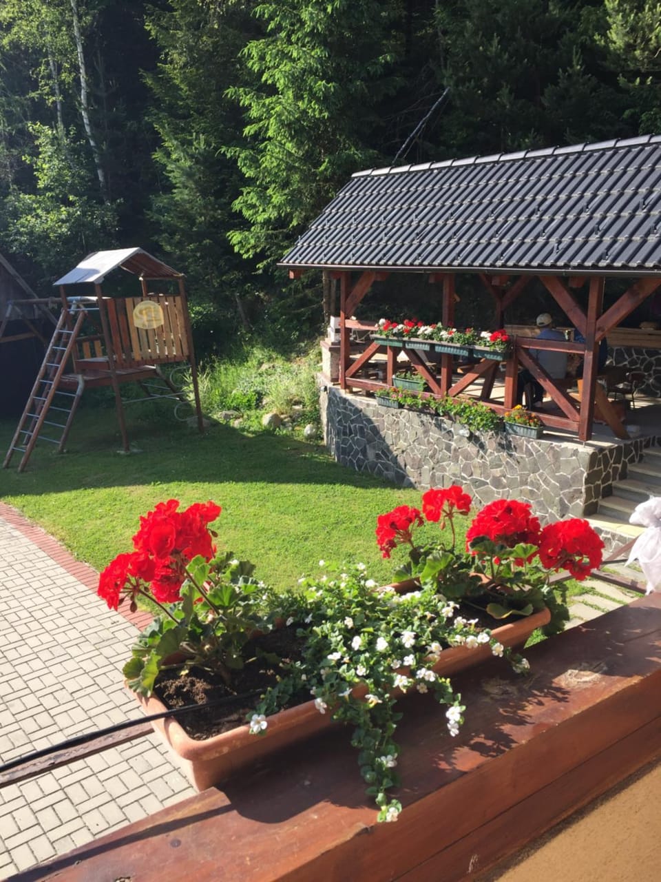 Garden view