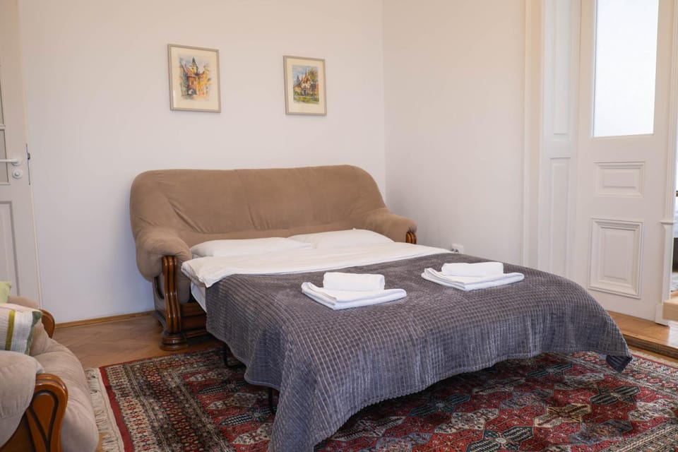 Casa Puscariu Apartment in Brasov