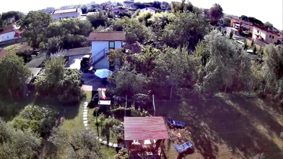 Bird's eye view, Garden view