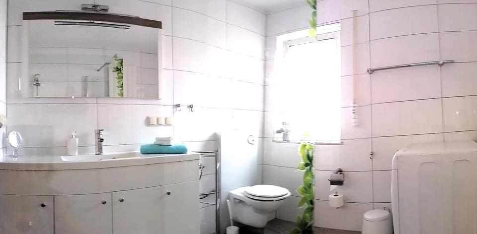 Shower, Toilet, Bathroom, washing machine