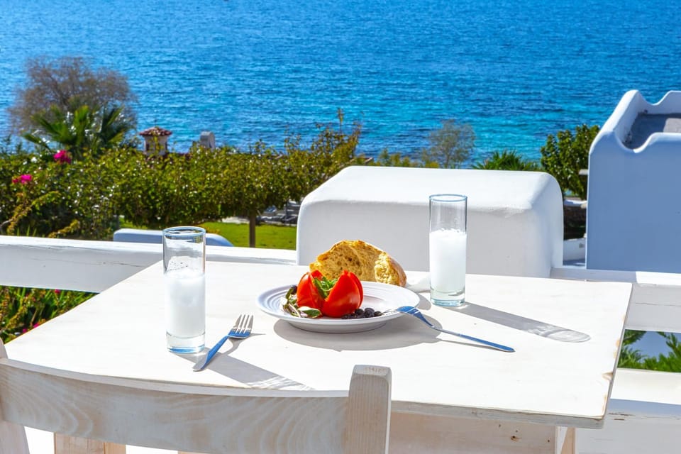 Karystos Villas House in Euboea