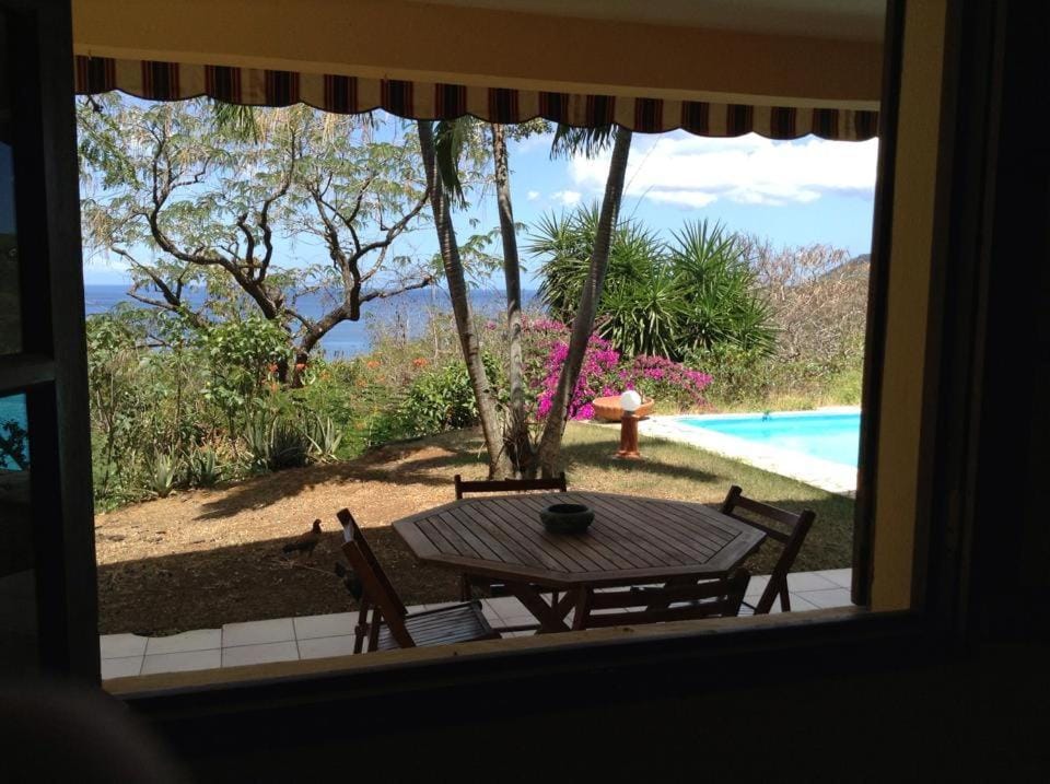 Property building, Patio, Natural landscape, Garden, Pool view, Swimming pool, Breakfast