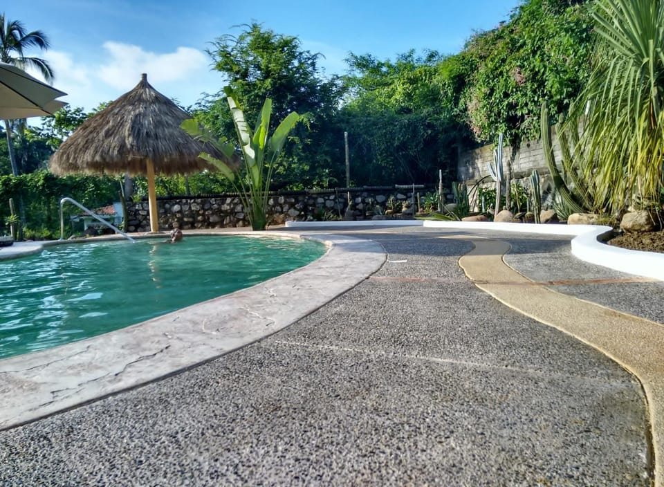 Patio, Garden, Swimming pool