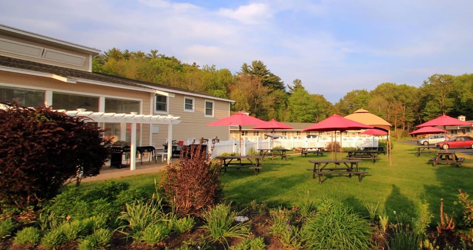 BBQ facilities, Garden