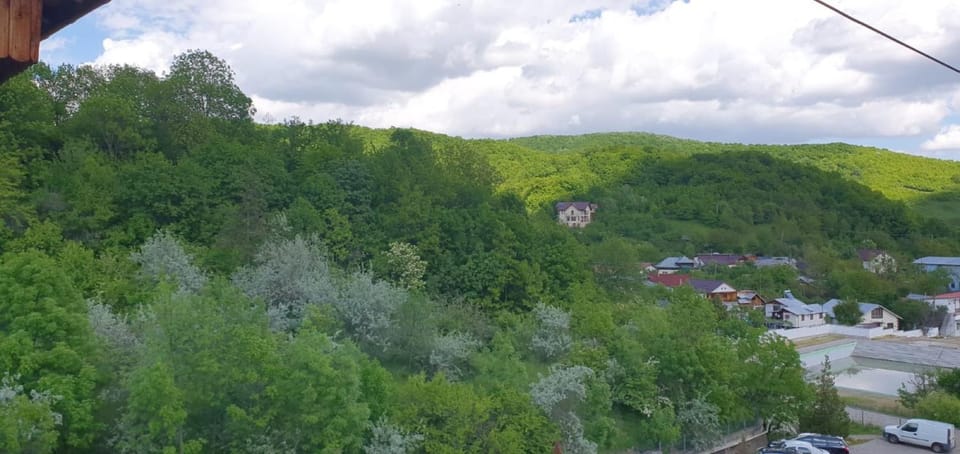 Natural landscape