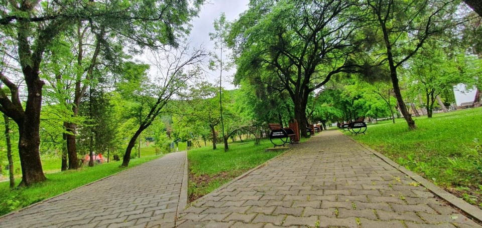 Natural landscape, Garden