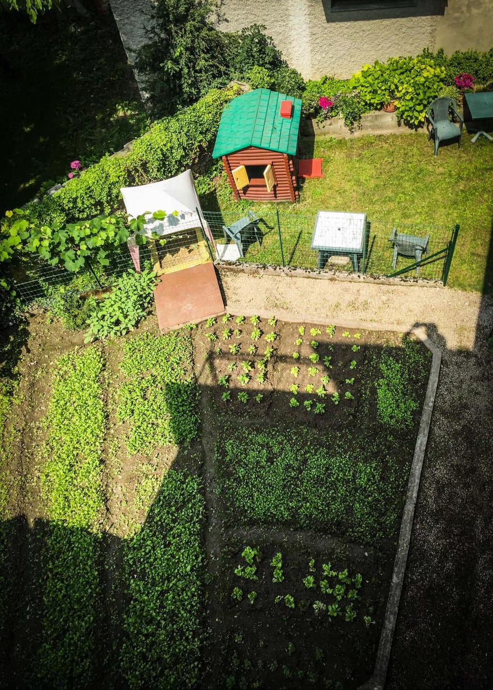 Garden view