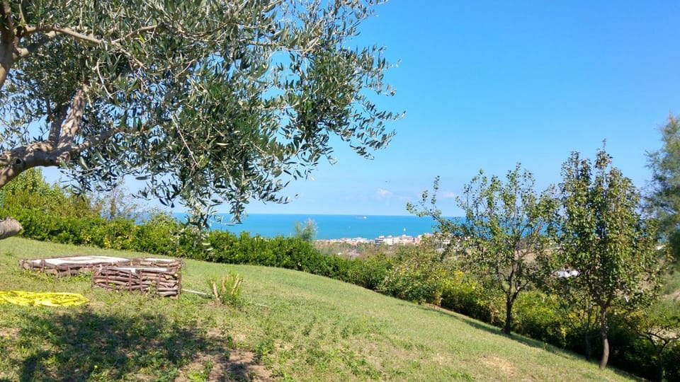 Garden, Garden view, Sea view