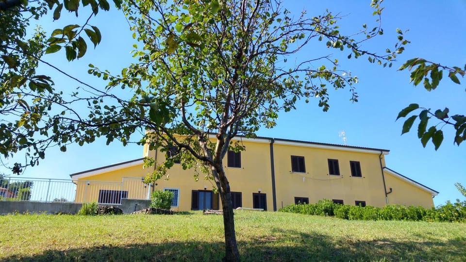 Property building, Garden, Garden view