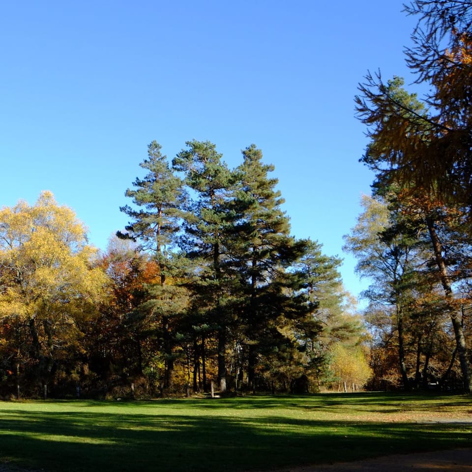 Autumn