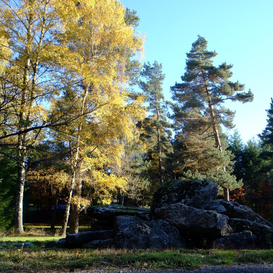 Natural landscape