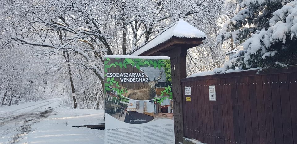 Csodaszarvas Vendégház House in Slovakia