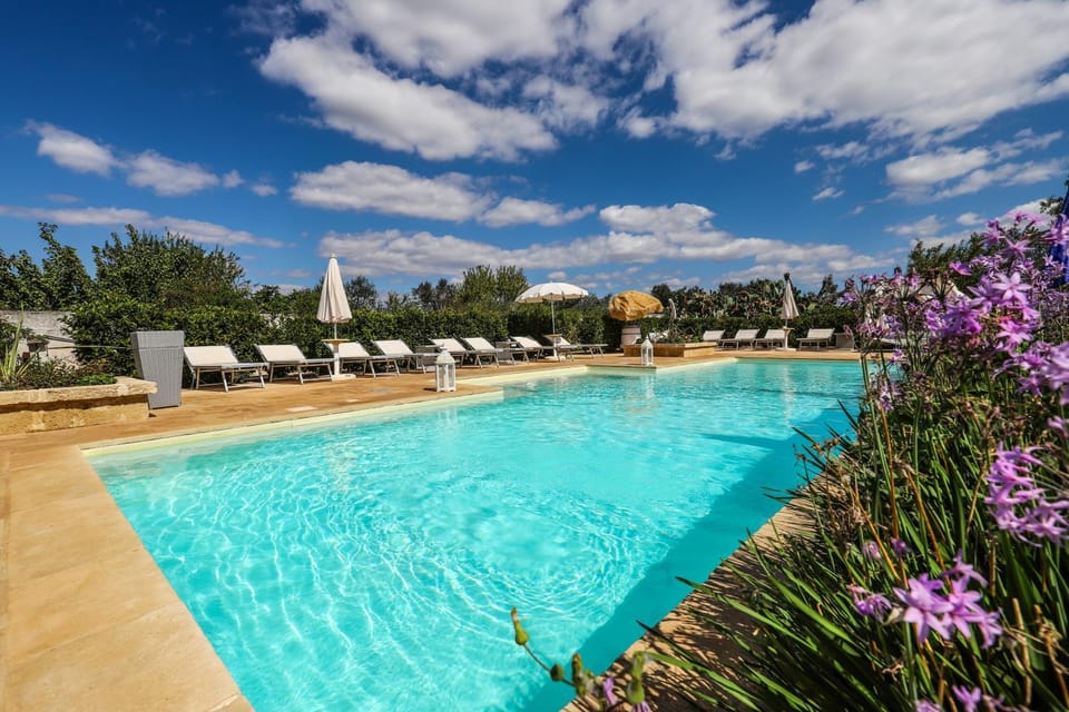 Garden, Swimming pool