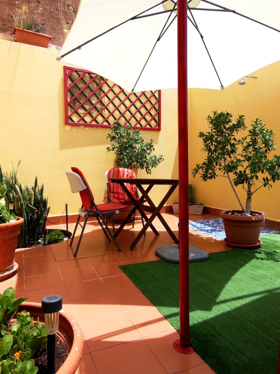 Patio, Garden