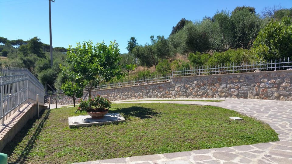 Patio, Garden, Balcony/Terrace