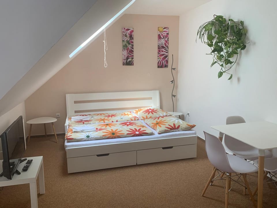 Penzion Karlov Bed and Breakfast in Czechia