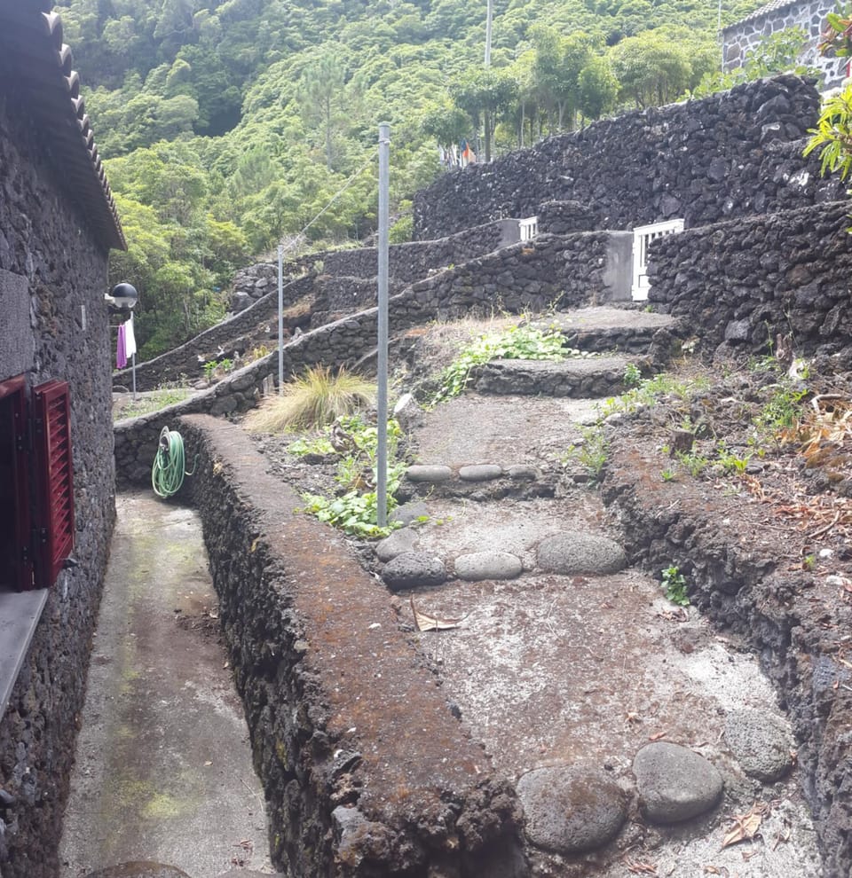 Area and facilities