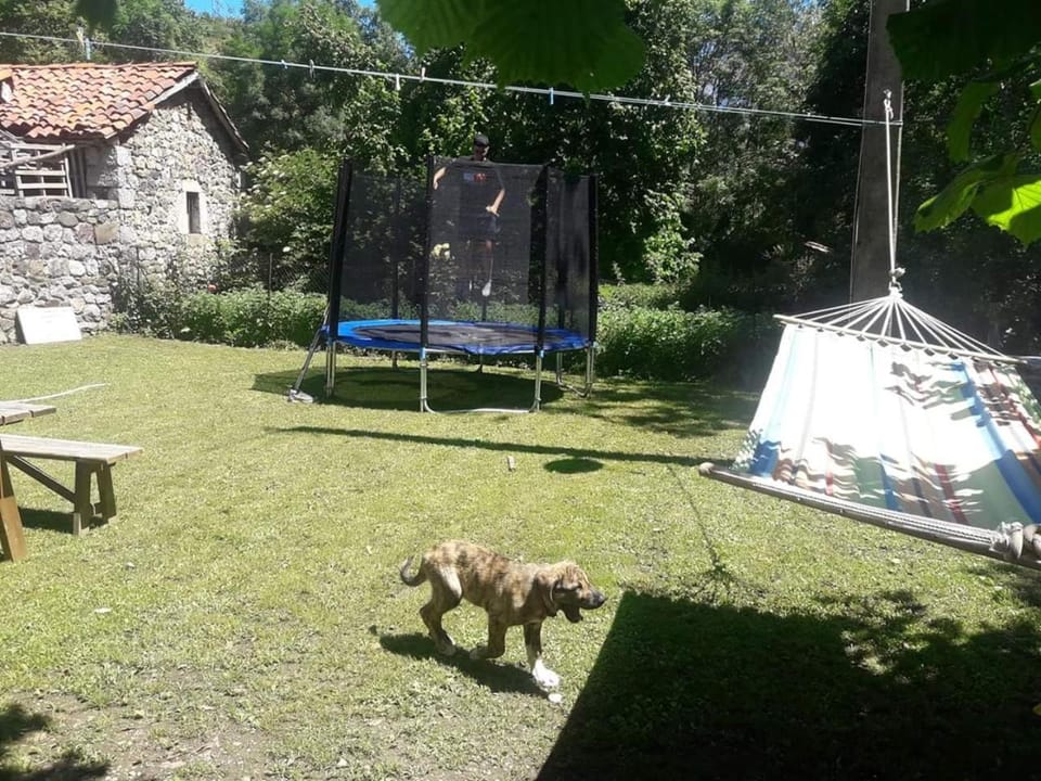 Garden, children, children, young children