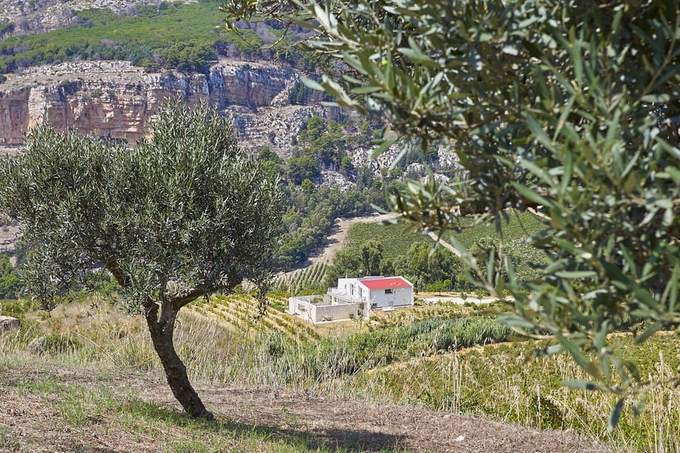 Villa Bonifato alloggo a uso turistico vista sulle campagne e sul mare siciliano Villa in Sicily
