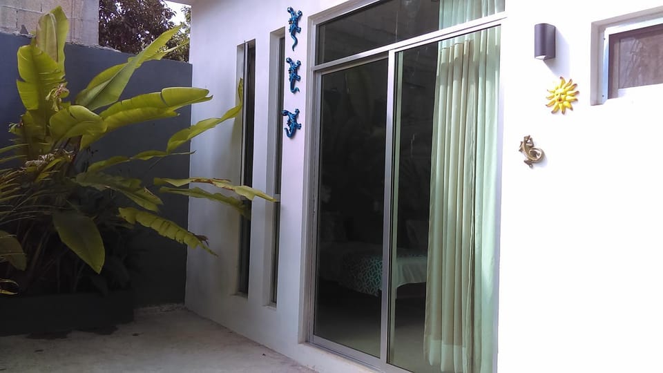 View (from property/room), Area and facilities