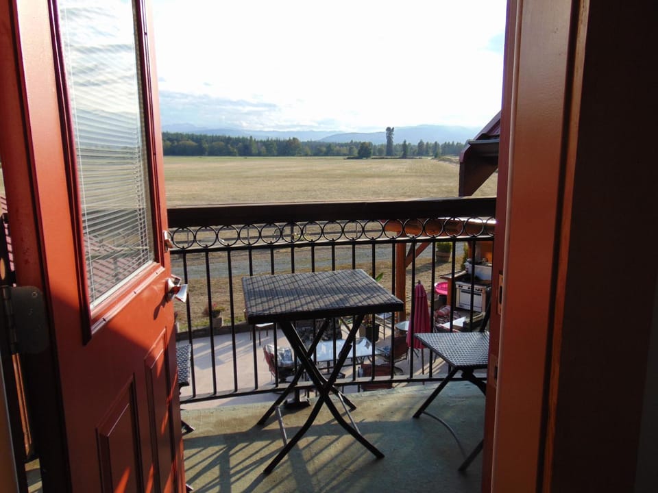 Patio, Balcony/Terrace, Dining area