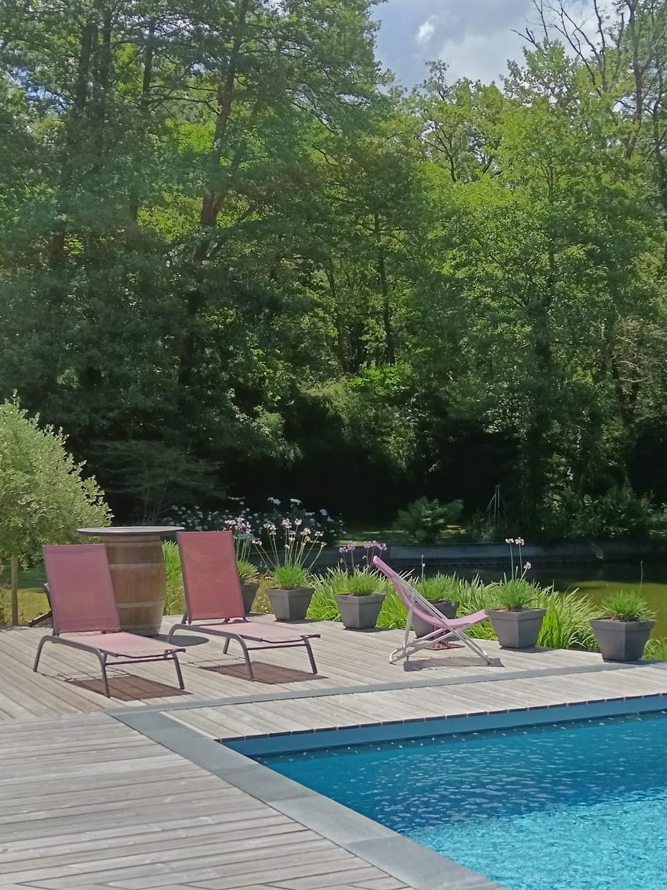 Le Moulin de Saubrigues Bed and Breakfast in Nouvelle-Aquitaine