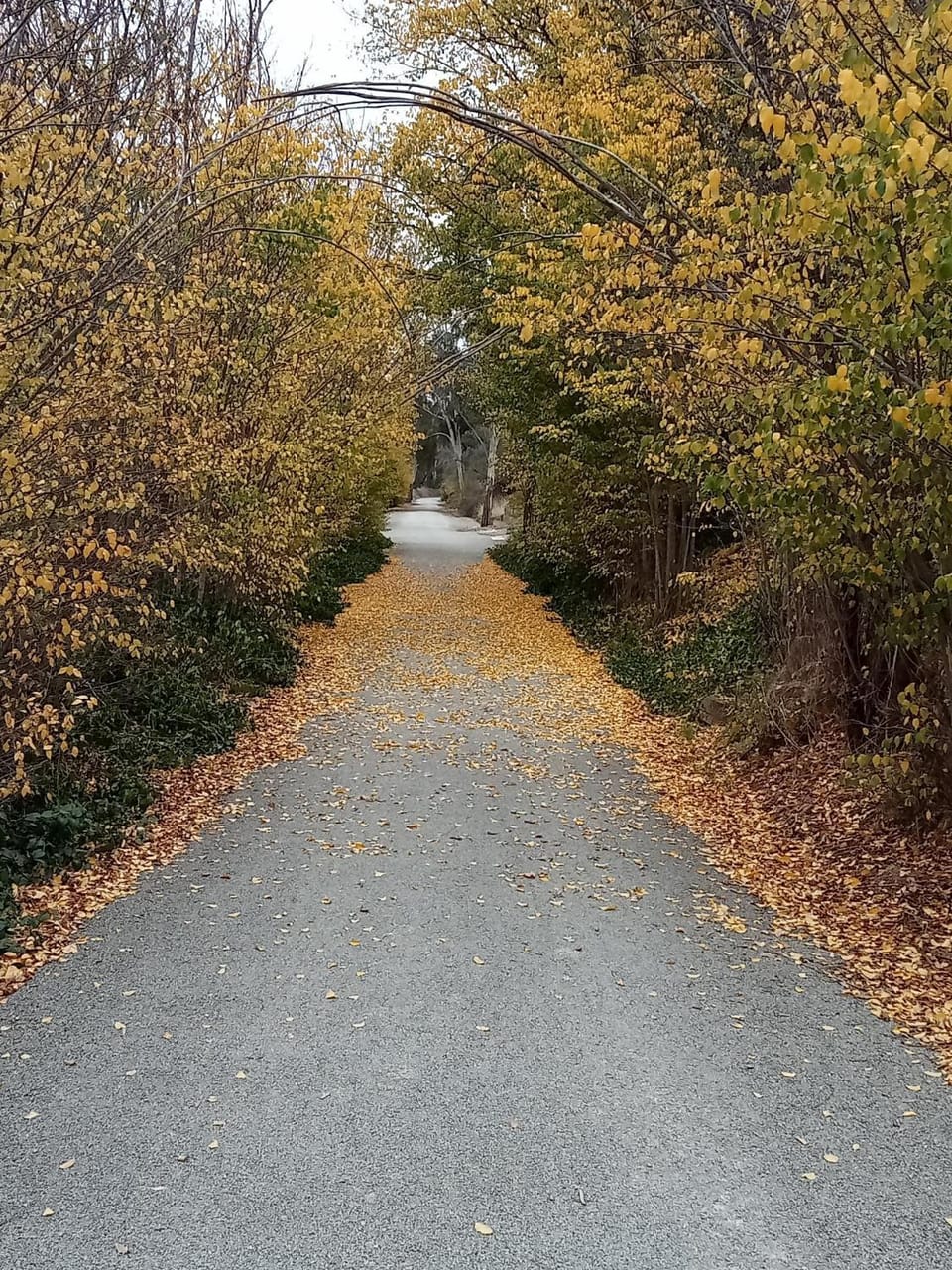 Day, Natural landscape, Hiking, Cycling