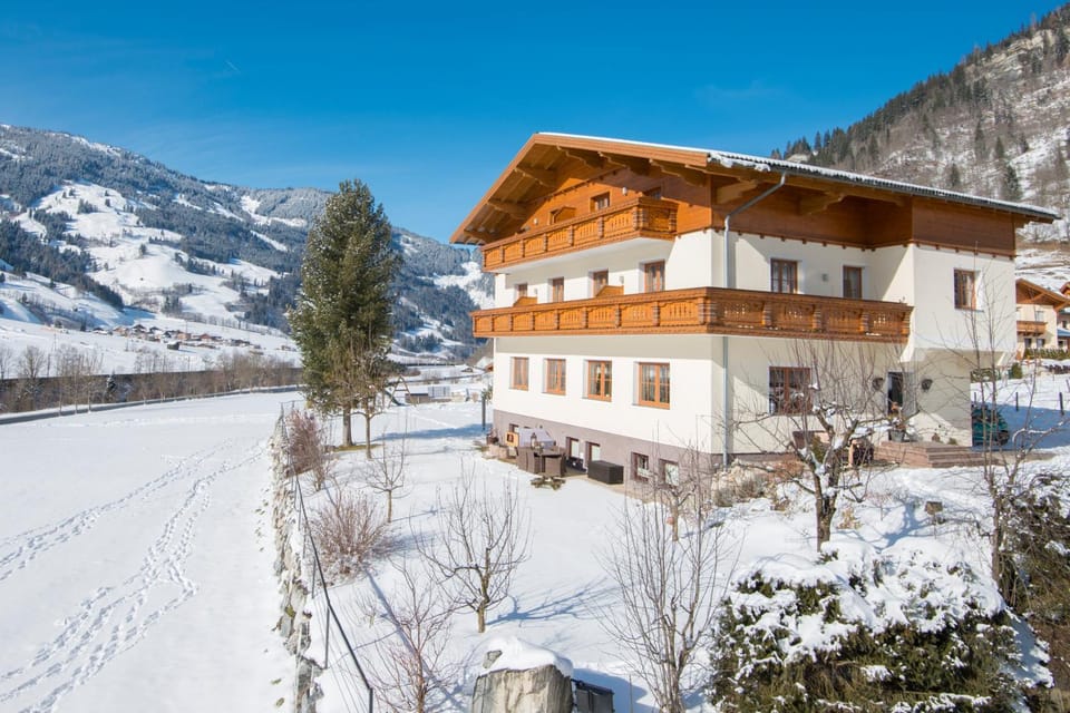 Property building, Winter, Garden