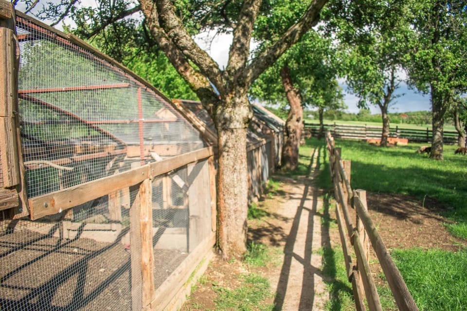 Ubytovanie V Súkromí Samuel Bed and Breakfast in Slovakia