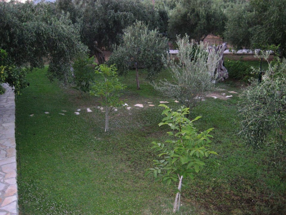 guest house kalamaki beach preveza Apartment in Greece