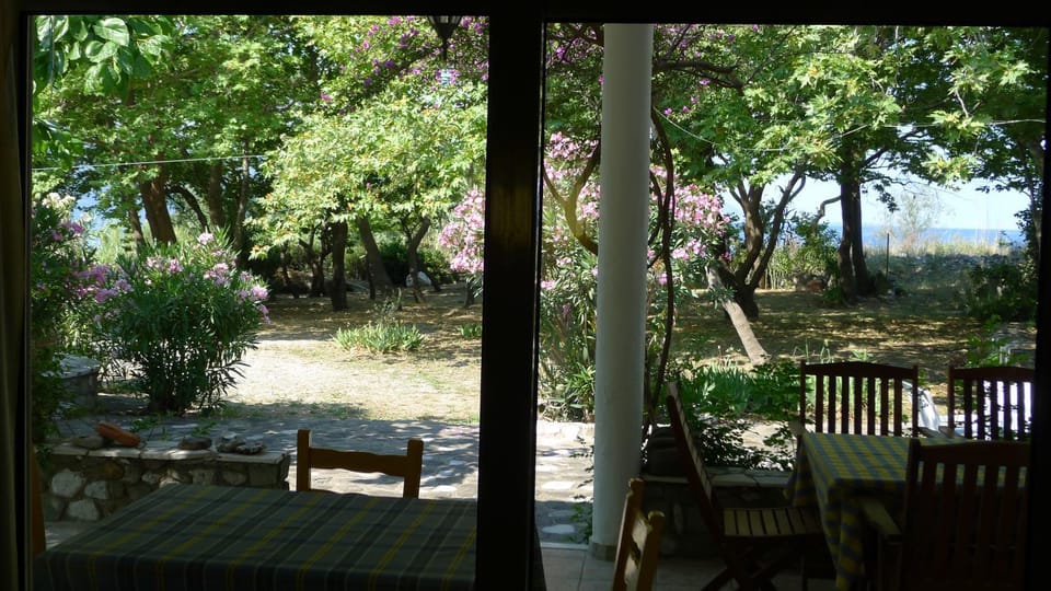 Property building, Garden, Balcony/Terrace
