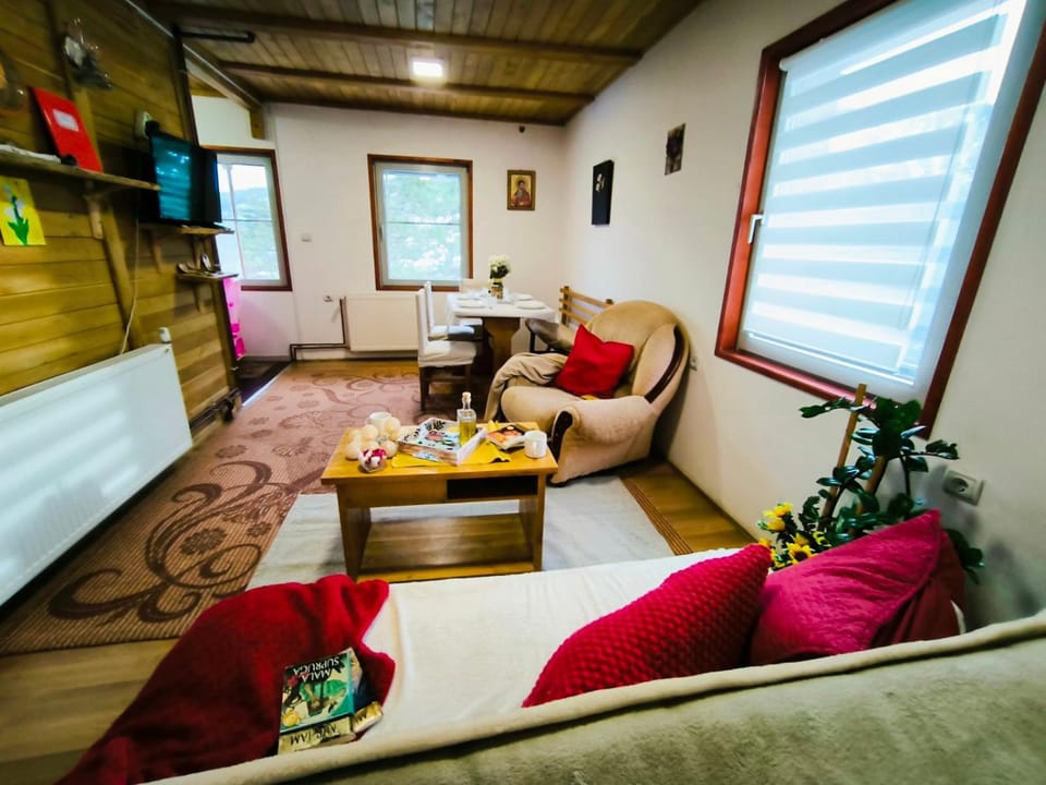 Andrica Sokak Apartment in Zlatibor District, Serbia