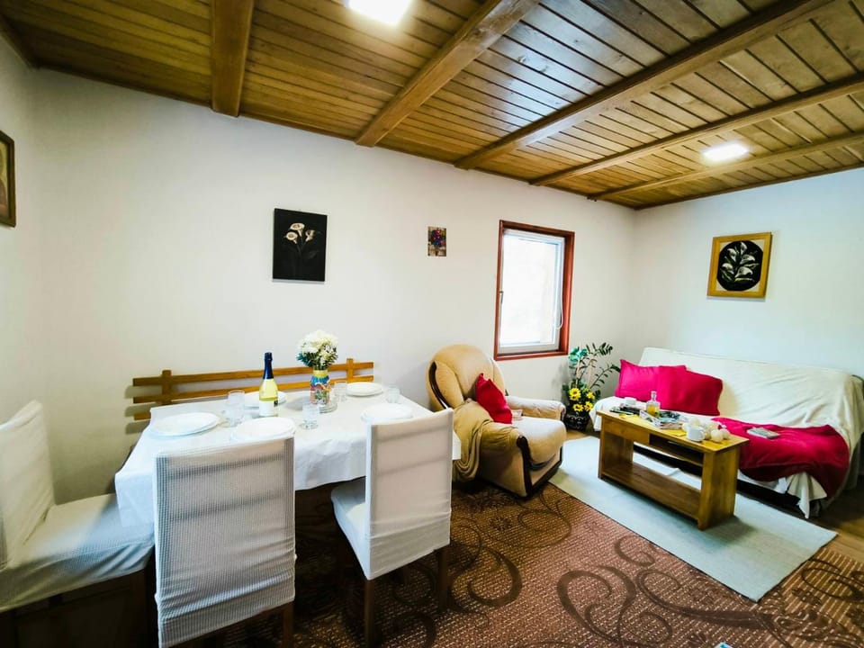 Andrica Sokak Apartment in Zlatibor District, Serbia