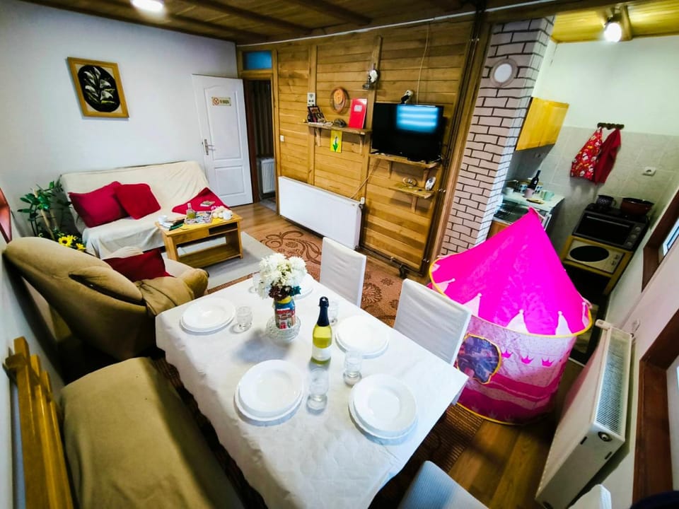 Andrica Sokak Apartment in Zlatibor District, Serbia