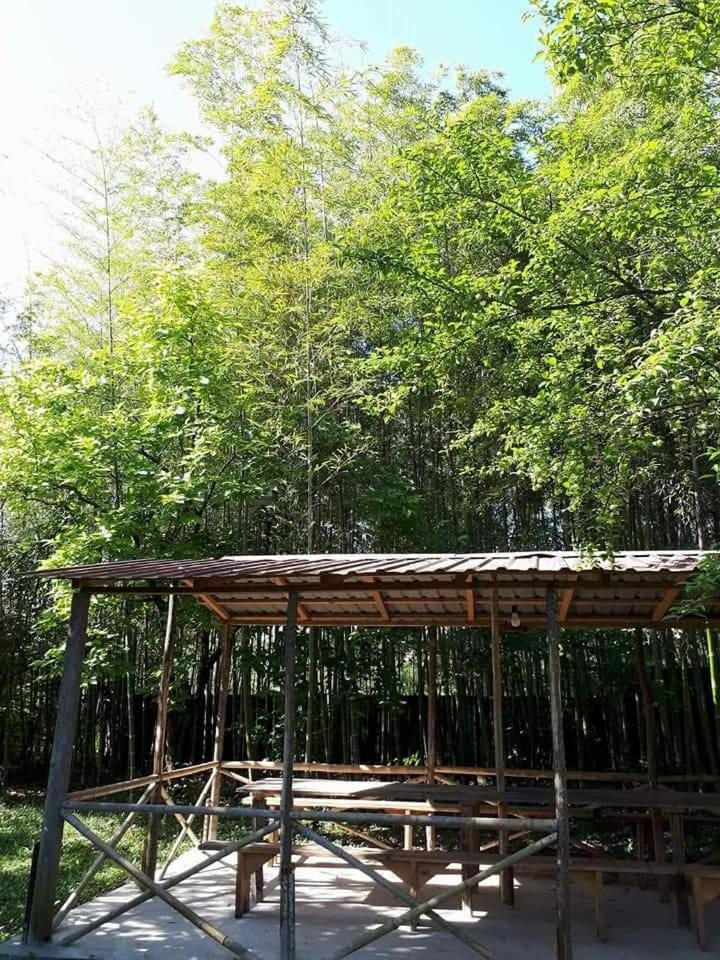 Guesthouse Luka Bed and Breakfast in Georgia