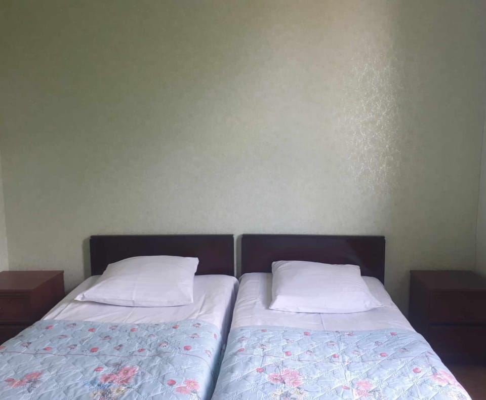 Guesthouse Luka Bed and Breakfast in Georgia