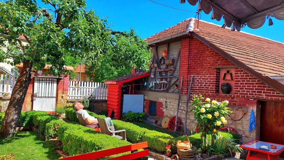 Day, Garden, Garden view