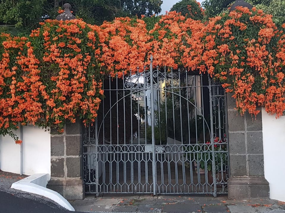 Casita del Medianero House in La Palma