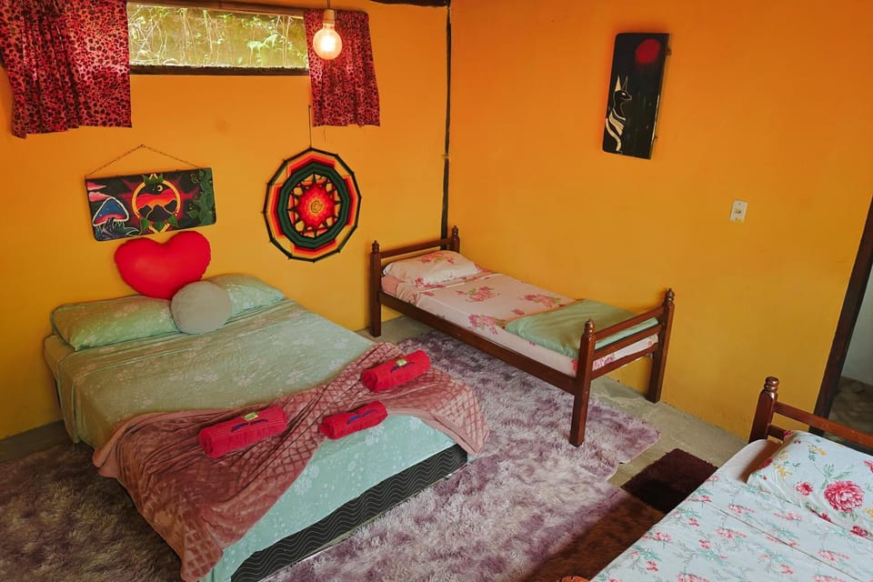 Eco Hostel Organic Life Hostel in State of Rio de Janeiro