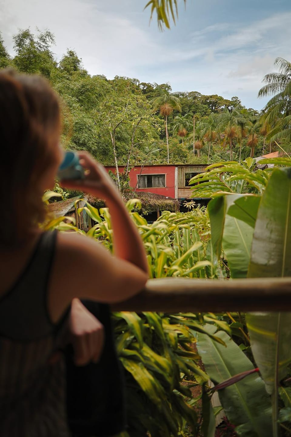 Eco Hostel Organic Life Hostel in State of Rio de Janeiro