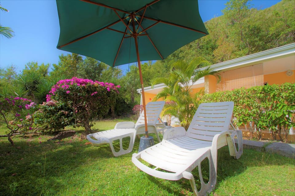 Day, Garden, Garden view, sunbed