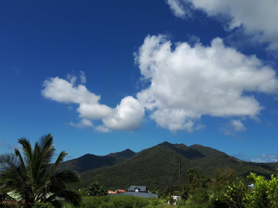 Mountain view