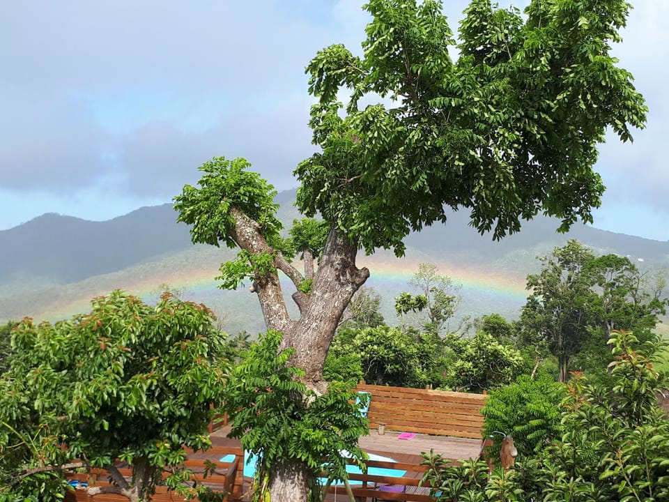 Gites Chez Marie Christine House in Leeward Islands