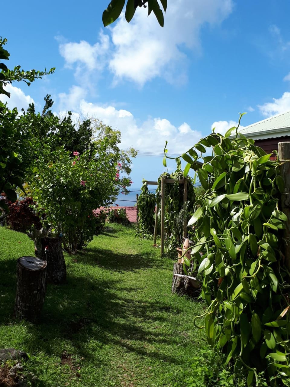 Gites Chez Marie Christine House in Leeward Islands